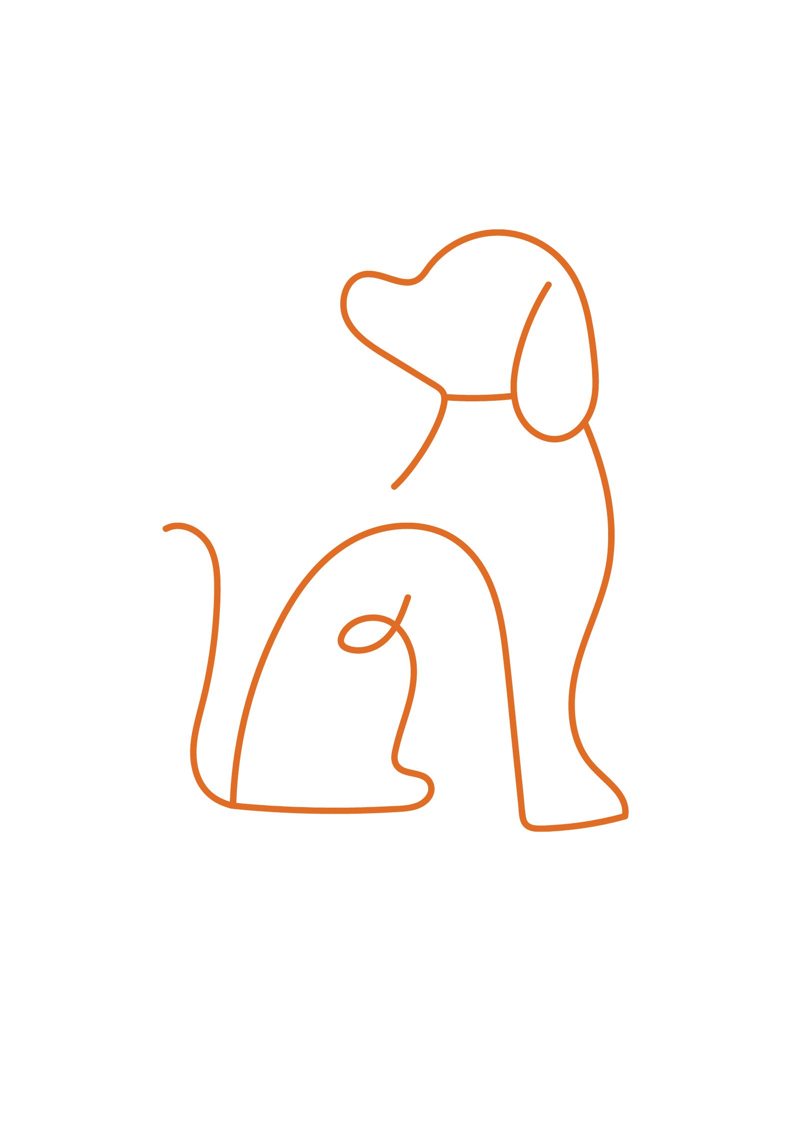 Corso - Patentino per proprietari di cani - 25 settembre - 2 e 9 ottobre 2023