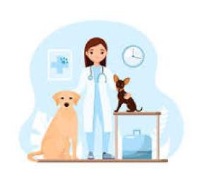 Distretti Veterinari