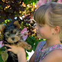 CANI