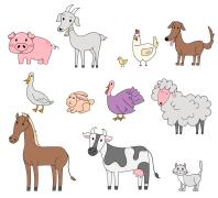 VETERINARIA