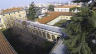 Organizzazione